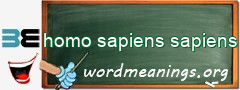 WordMeaning blackboard for homo sapiens sapiens
